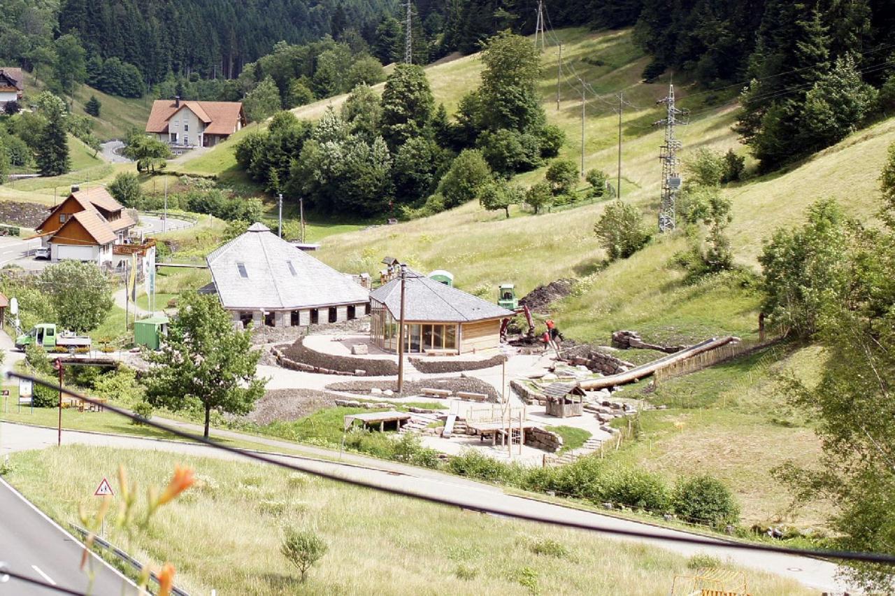 Landpension Am Sommerhang Bad Rippoldsau-Schapbach Zewnętrze zdjęcie